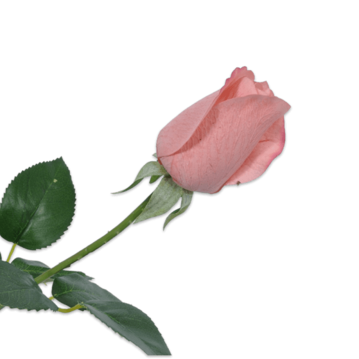 Silk-ka Vještački cvijet Ruža, roze boje