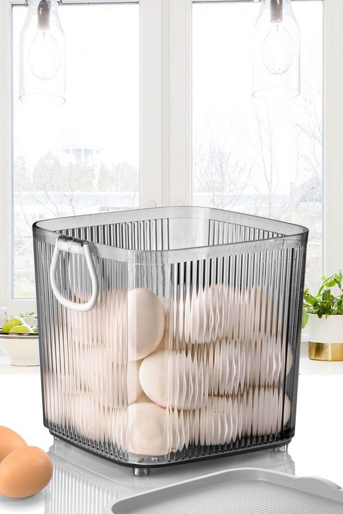 Hermia korpa za odlaganje EM-3099, prozirna