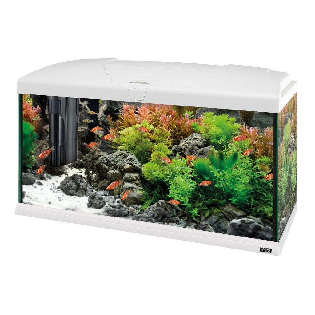 Ferplast Akvarijum Capri Led 80, 80x31.5x46.5 cm, Bijeli