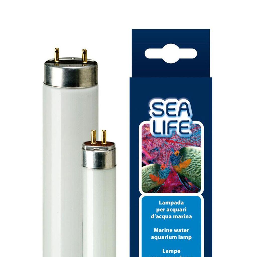 Ferplast Rasvjeta za akvarijum Aquacoral Lamp T5, 24W