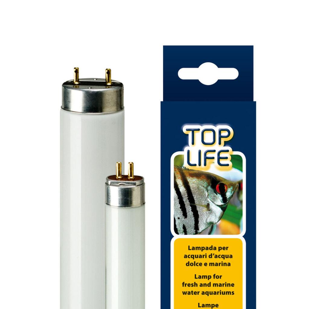 Ferplast Rasvjeta za akvarijum Toplife Lamp T5,  24W