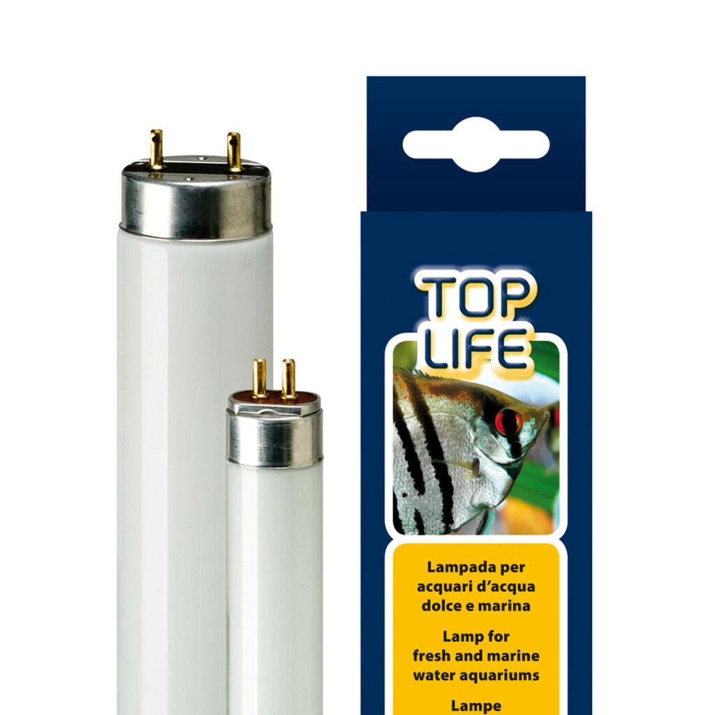 Ferplast Rasvjeta za akvarijum Toplife Lamp T5, 8W