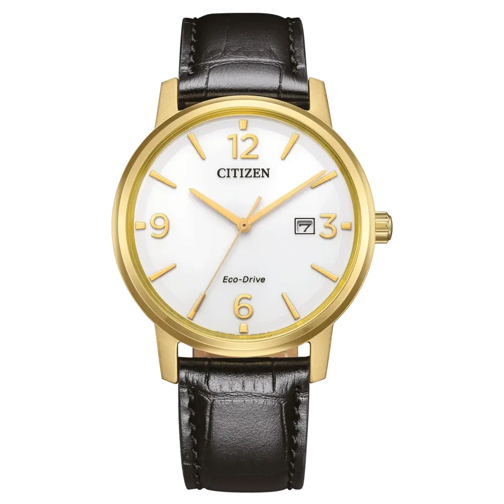 Citizen Muški sat BM6756-01A