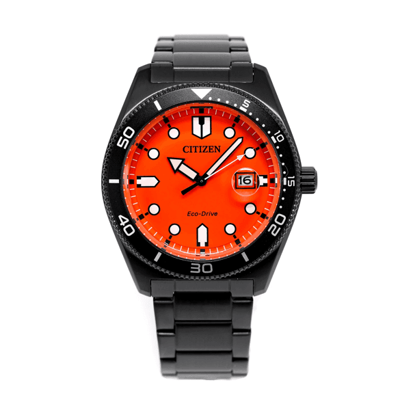 Citizen Muški sat AW1765-88X