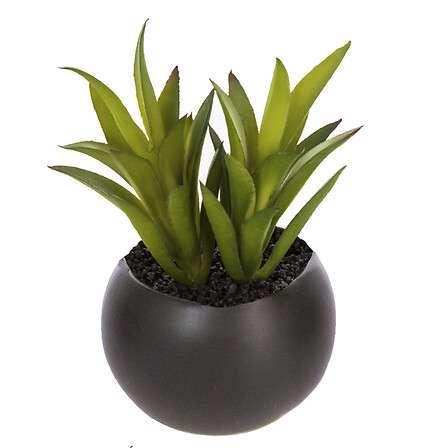 Atmosphera Umjetno cvijeće u tegli Magnetic, 6 cm, Više boja