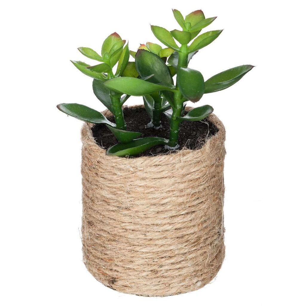 Atmosphera Umjetno cvijeće u tegli, 16 cm, Zelena