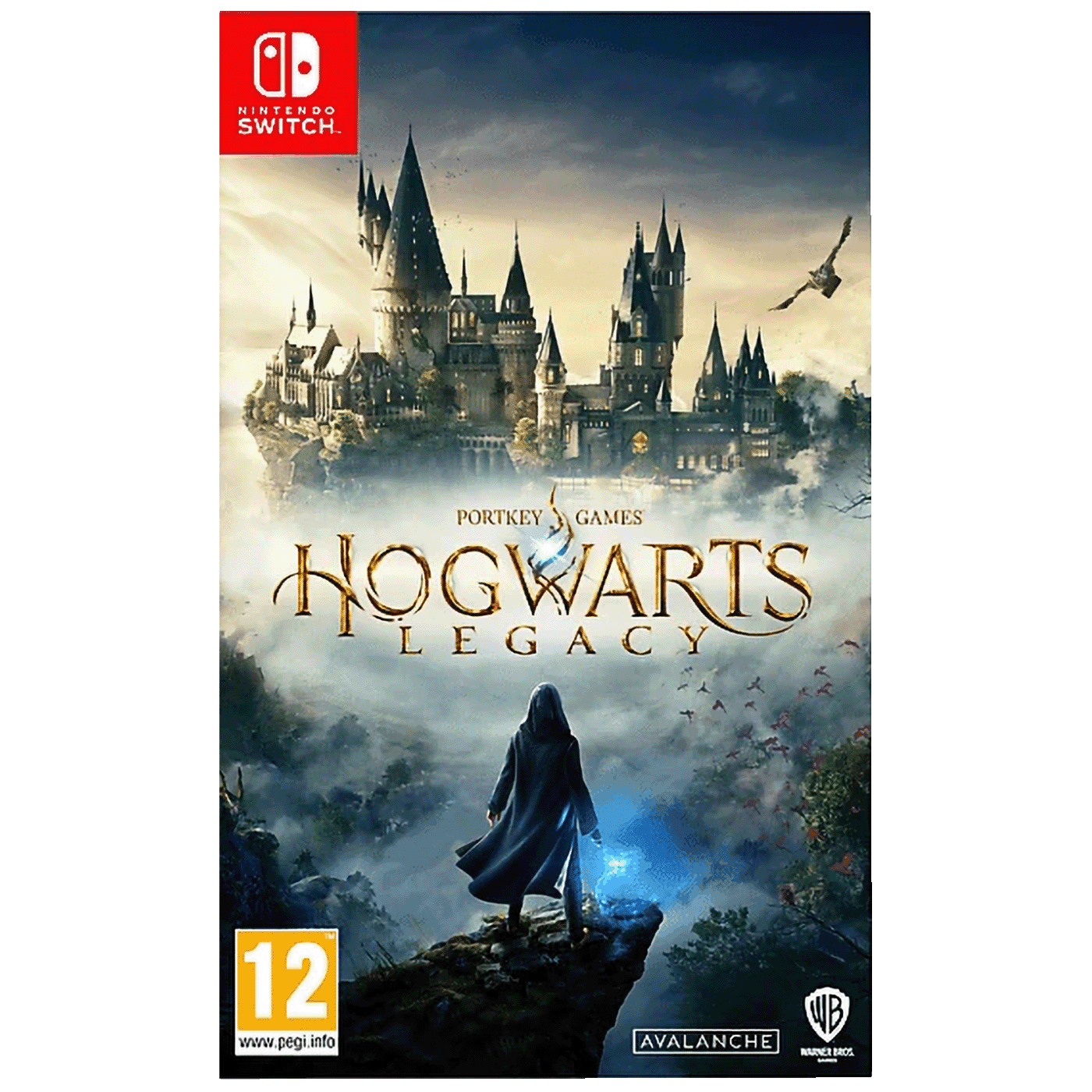WARNER BROS Igra za Nintendo Switch Hogwarts Legacy