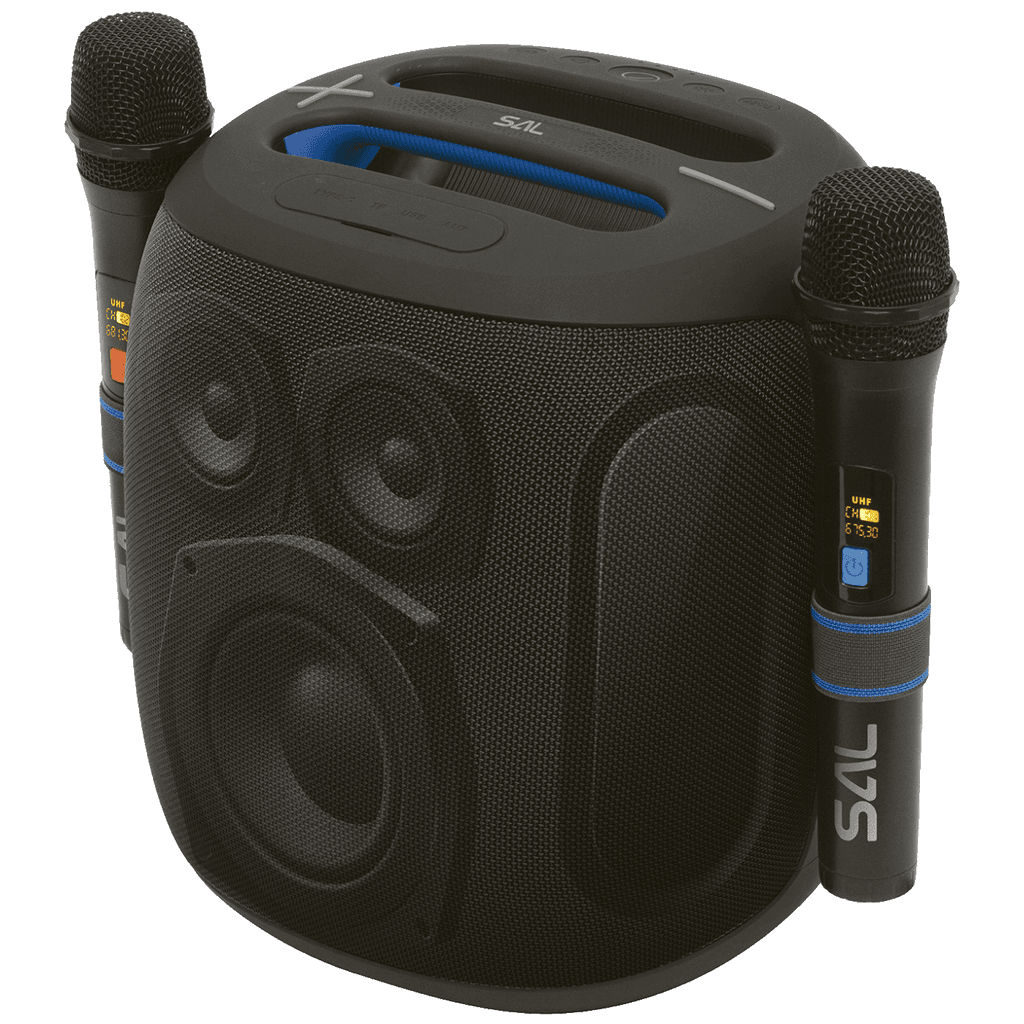 SAL Zvučnik bežični sa mikrofonom PARCUBE, Boombox, Bluetooth, 100W, IPX5, Crni