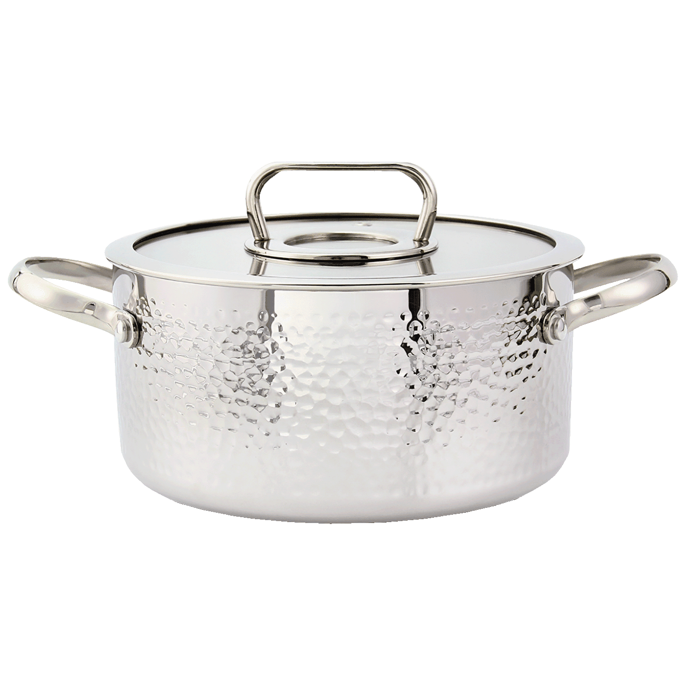 ZILAN Lonac sa staklenim poklopcem 20 cm ZLN1313, Srebrna boja