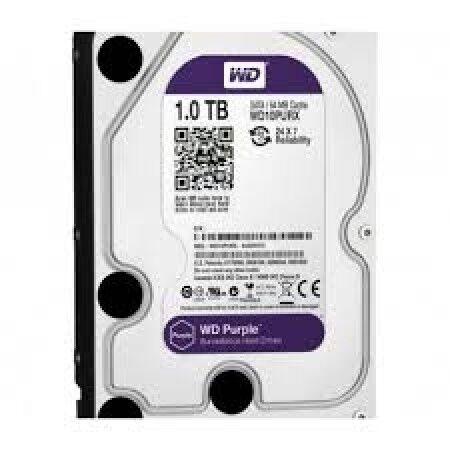 WD Hard disk WD10PURZ, 1TB, SATA3, Ljubičasti