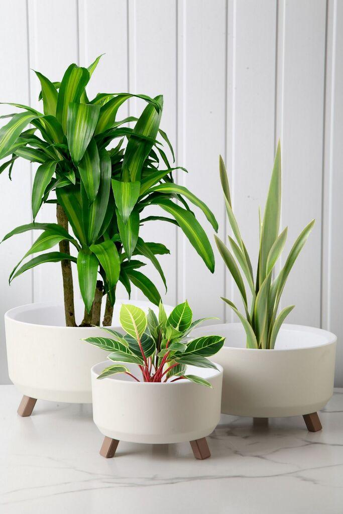 Aberto Design Set vaza TRPTSKS-4-3, 3 komada, Bijela