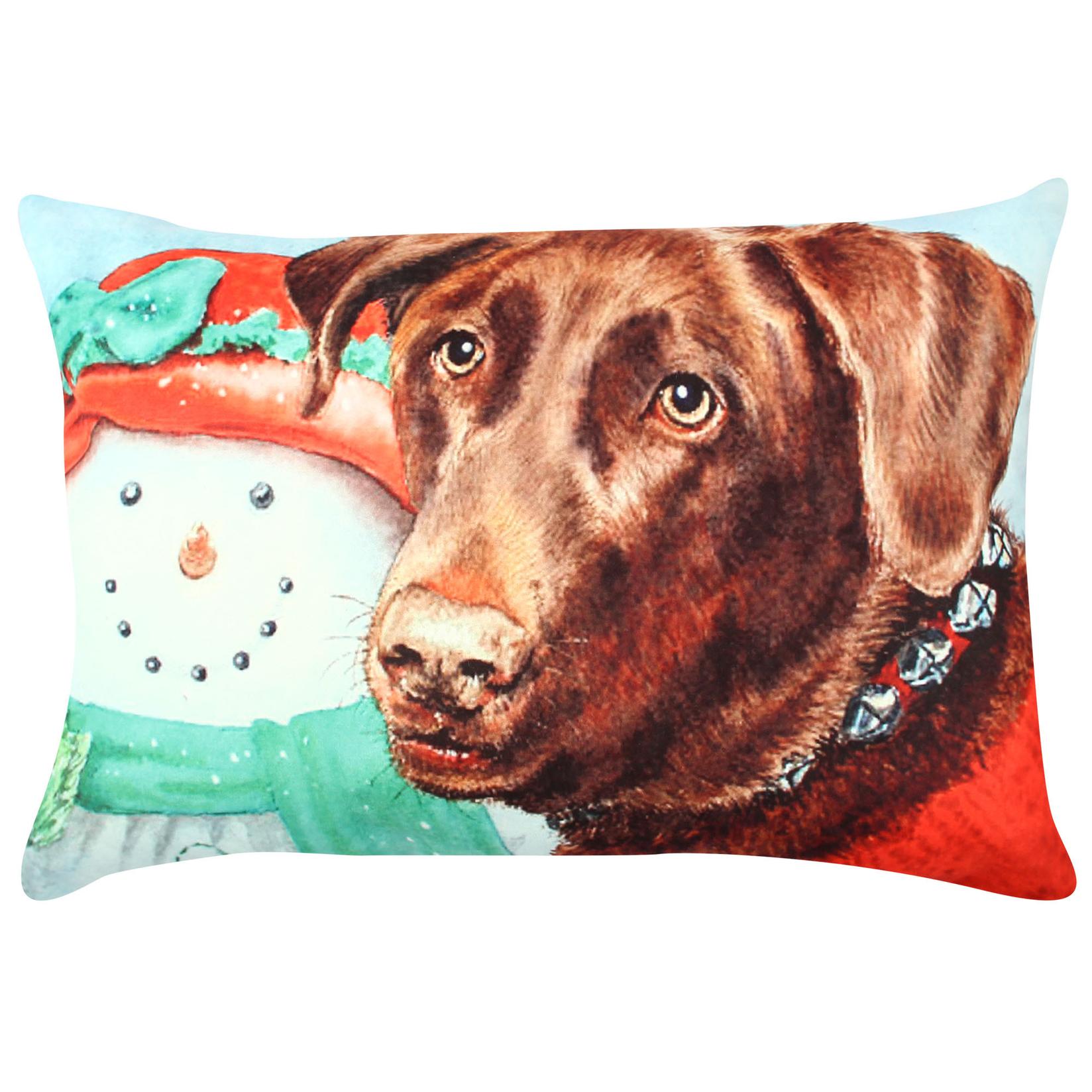 Aberto Design jastuk 33x48cm Šaren