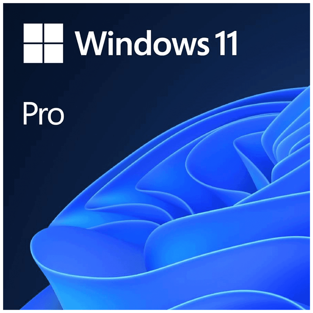 Microsoft Windows 11 Pro OEM