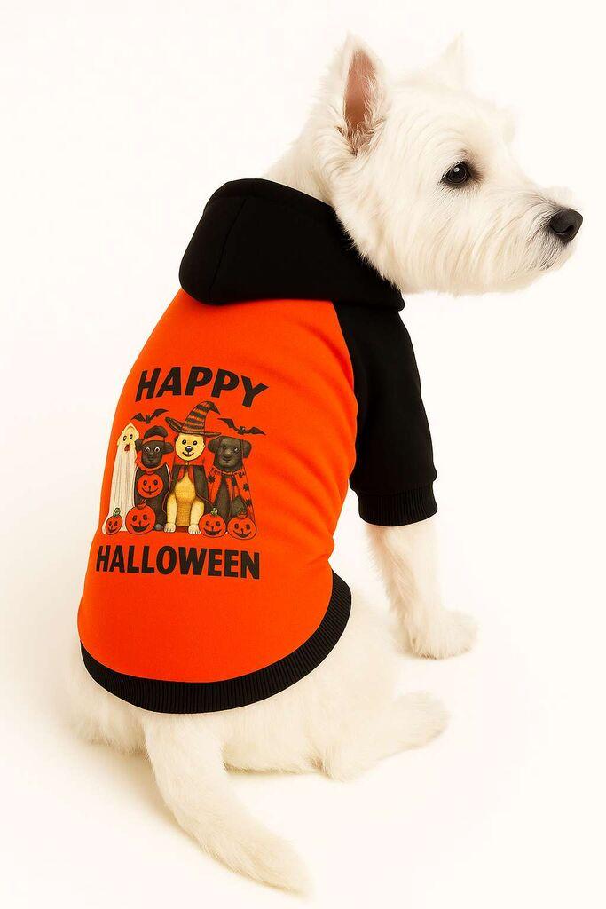 Paws & Whiskers Odelo za pse Orangehappyhall, Narandžasto