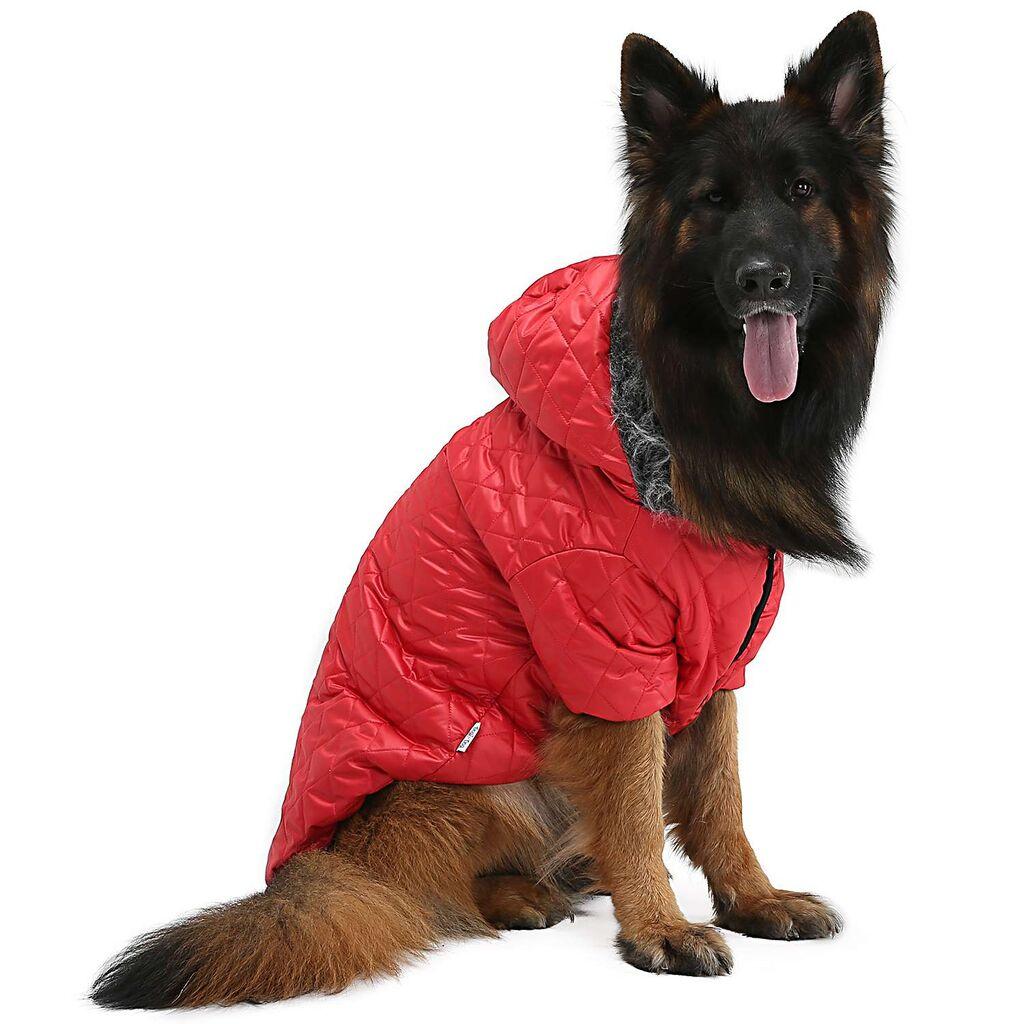 Odijelo za pse "Šape i brkovi", crveno