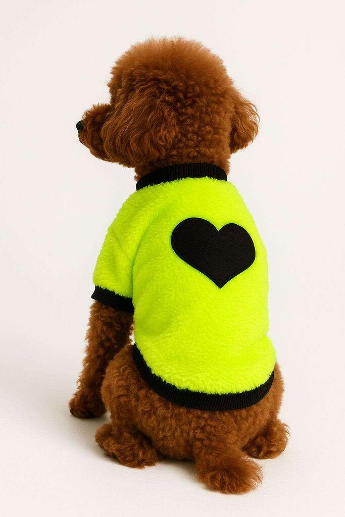 Odijelo Paws & Whiskers za pse Neongreensweat, zeleno