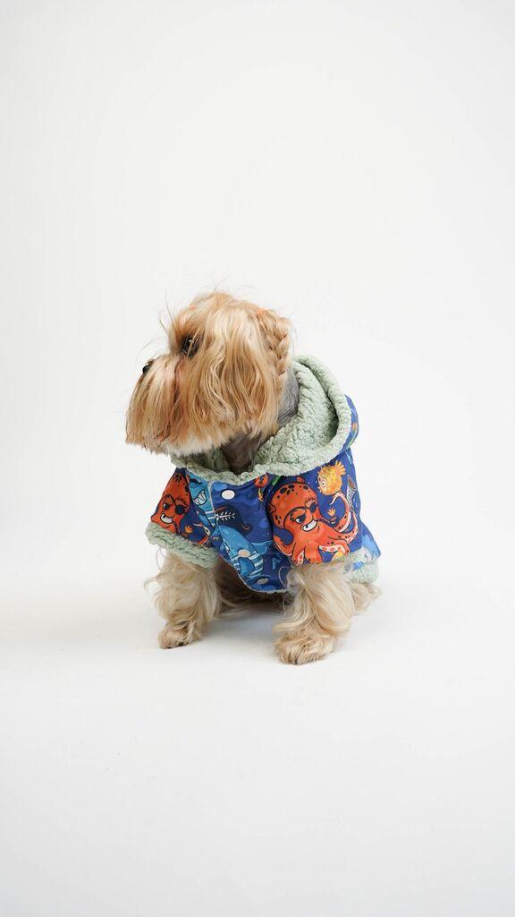 Paws & Whiskers Odelo za pse Ocean Raincoat, Šareno