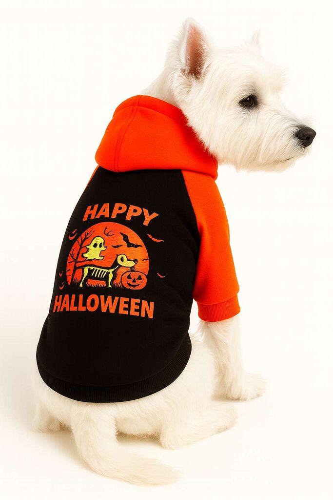 Paws & Whiskers Odelo za pse Blackhappyhall, Crno