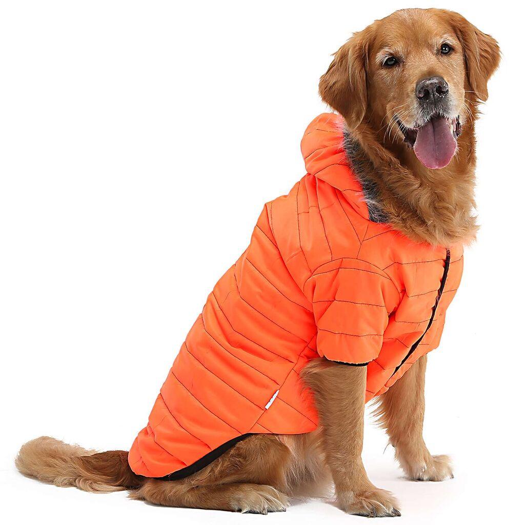 Paws & Whiskers Odelo za pse Orangecoat, Narandžasto