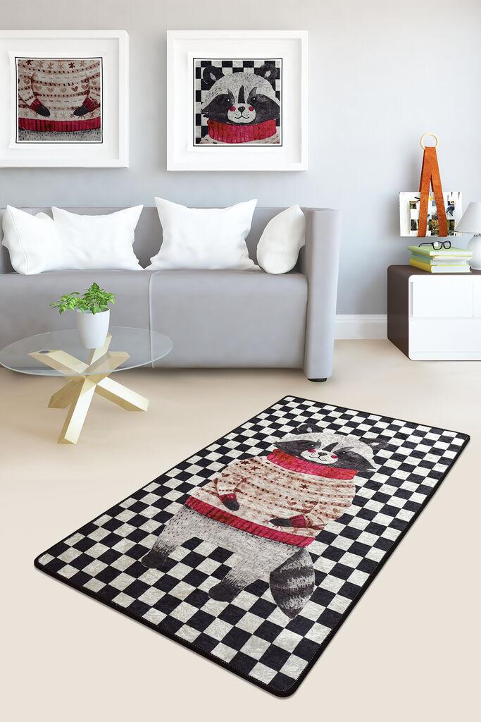 Conceptum Hypnose tepih Mr Raccoon, 70 x 120 cm, šareni