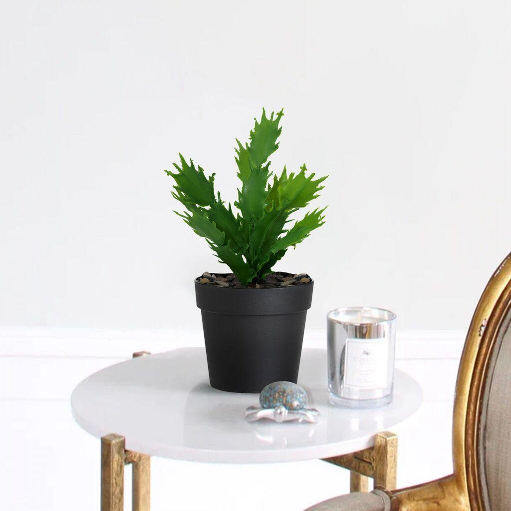 Aberto Design Ukrasna saksija 241347, 21 cm, crna