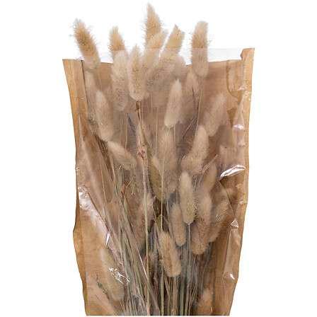 Atmosphera Umjetno cvijeće buket Bunny Tails, 58, Bež