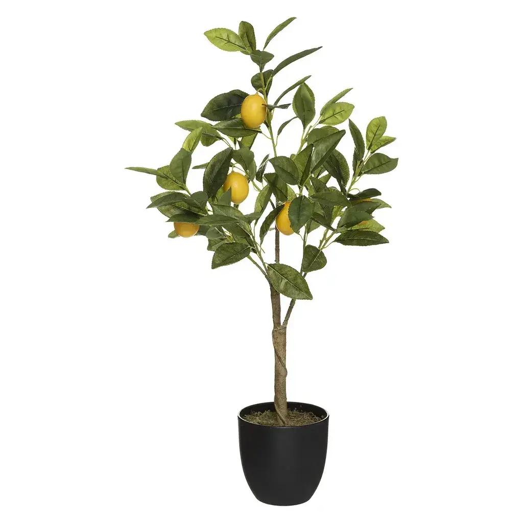 Atmosphera Umjetna biljka Limun, 70  cm