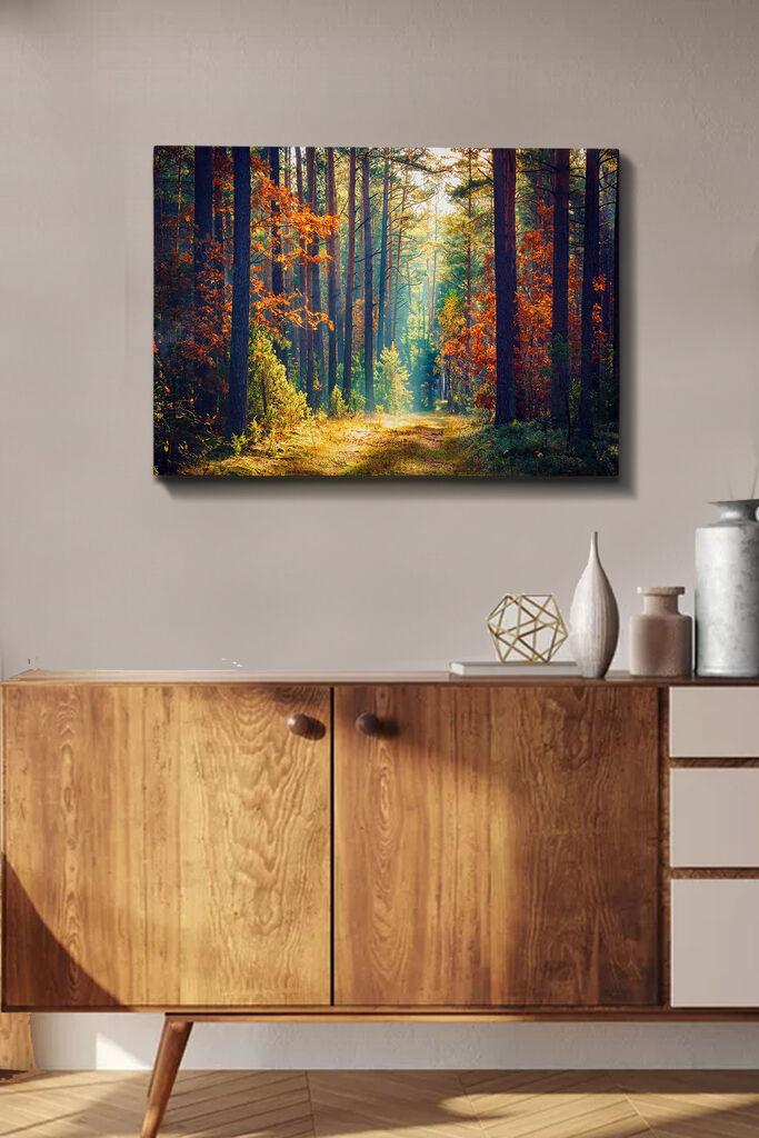 Slika na zidu na platnu 50x70cm