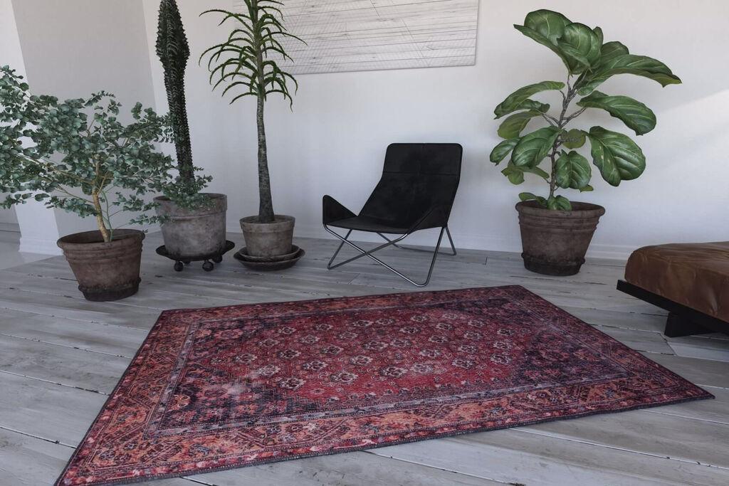 Conceptum Hypnose Tepih Blues -AL 151, 210x310 cm, Bordo