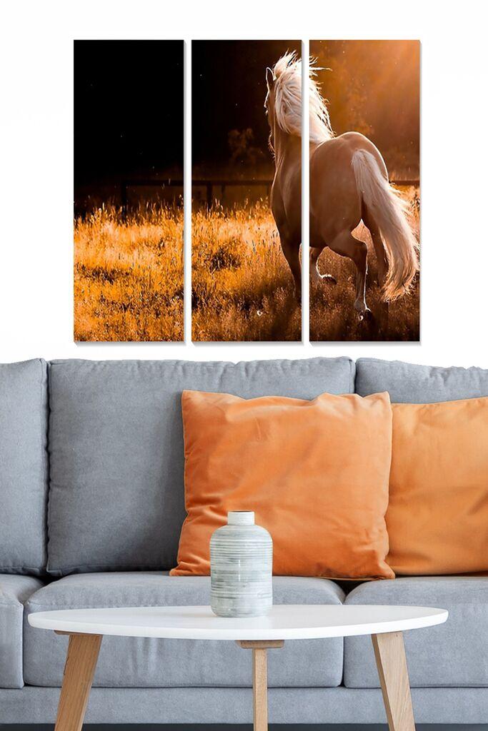 Zidna slika MDFFTR1017, 70x50 cm, 3 dijela