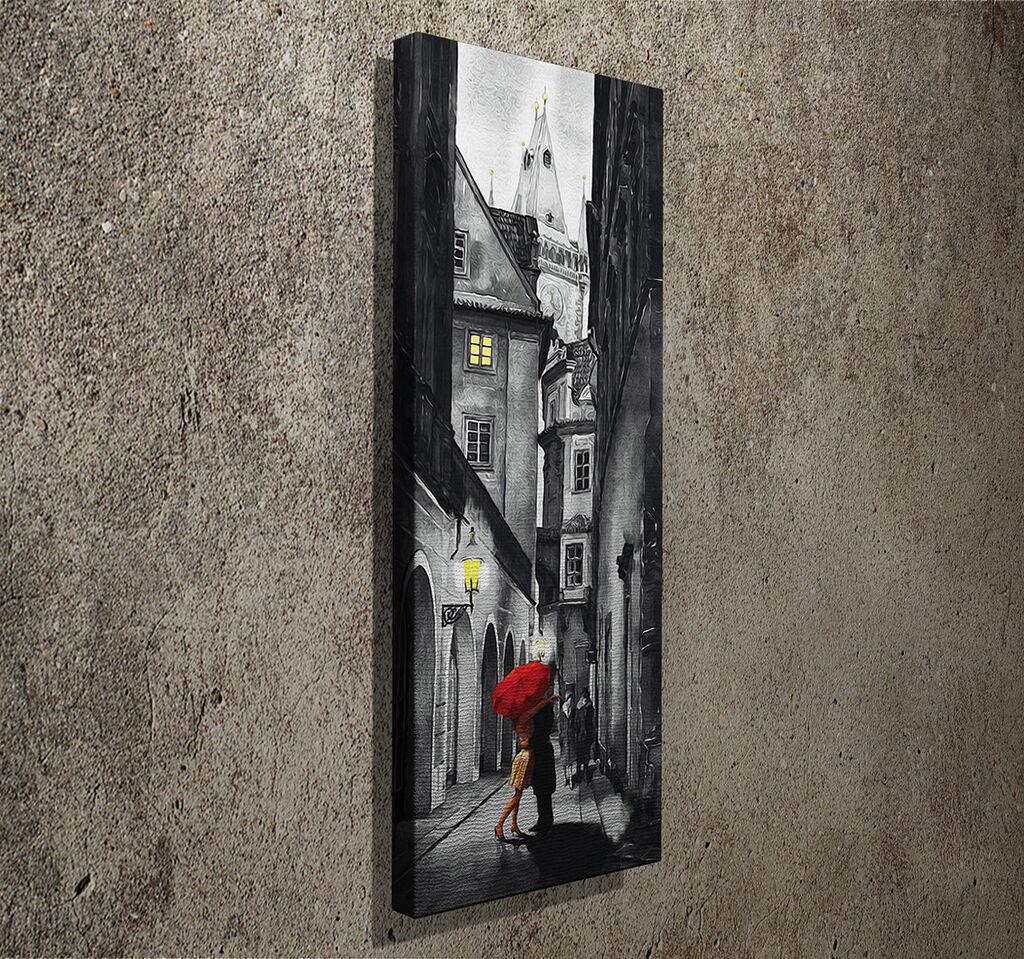 Slika na platnu Wally 30x80cm