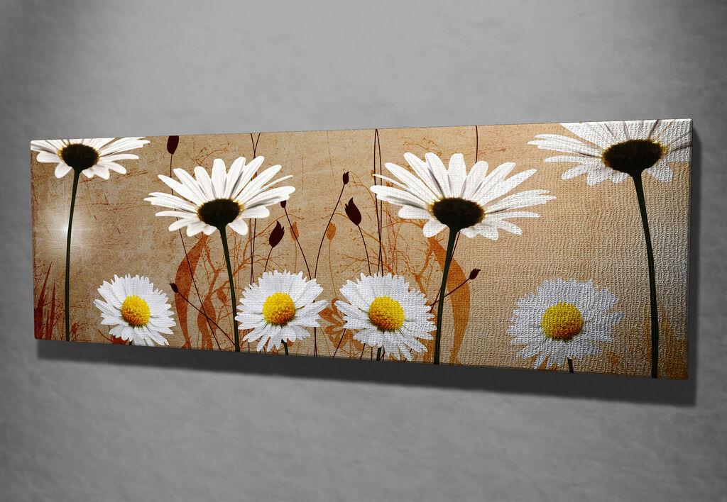 Slika na platnu Wally 30x80cm