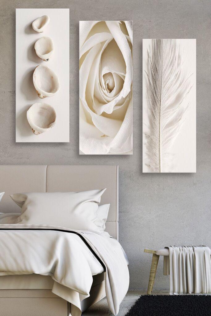 Wallity Slike cvijeća, školjki i perja 70x50 cm bež