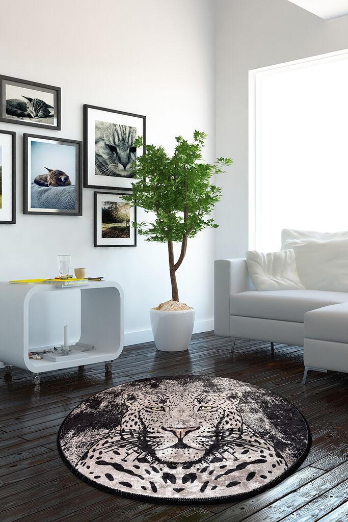 Conceptum Hypnose Carpet Tiger, O140cm, Šaren