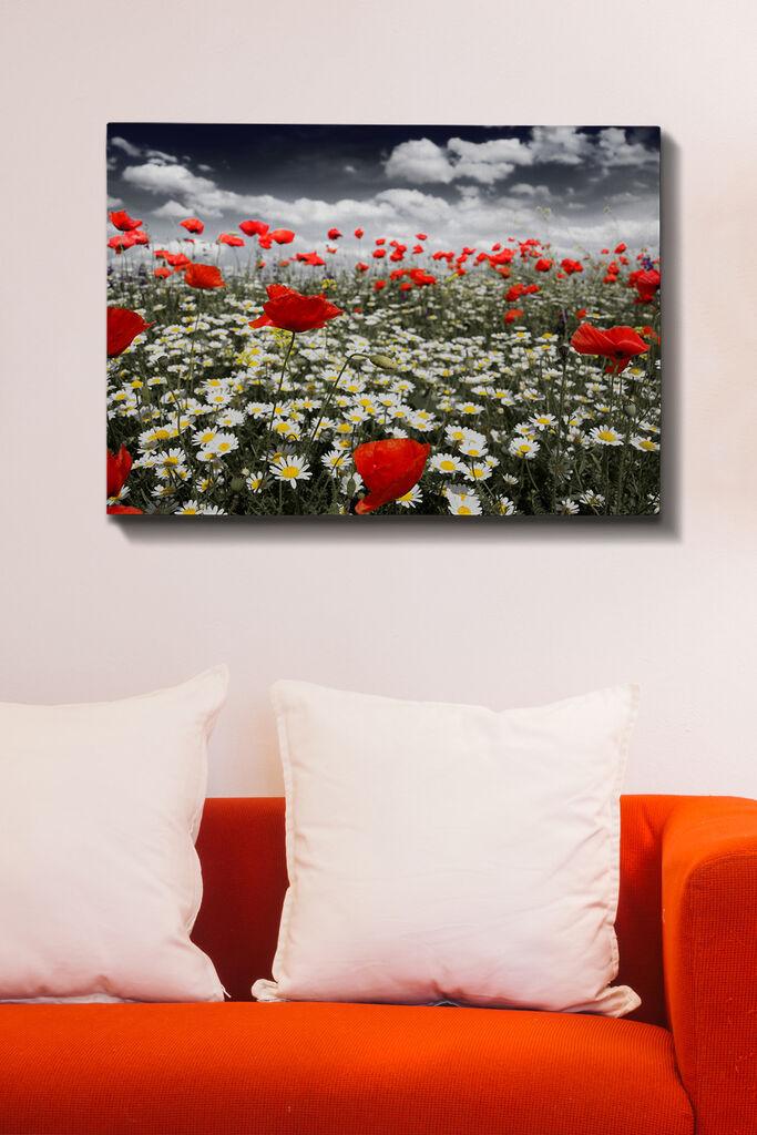 Slika na zidu na platnu 70x100cm