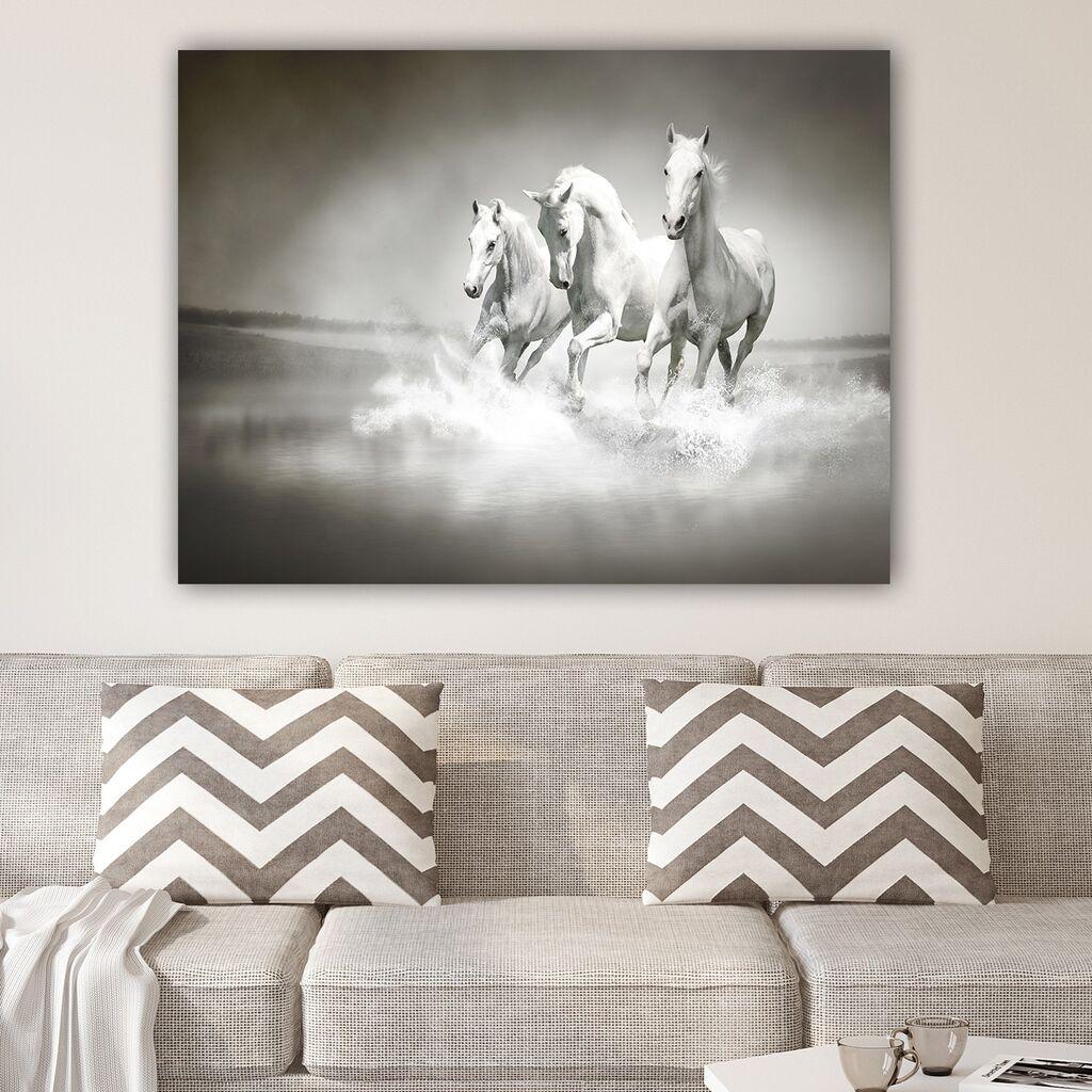 Slika na zidu na platnu 70x100cm