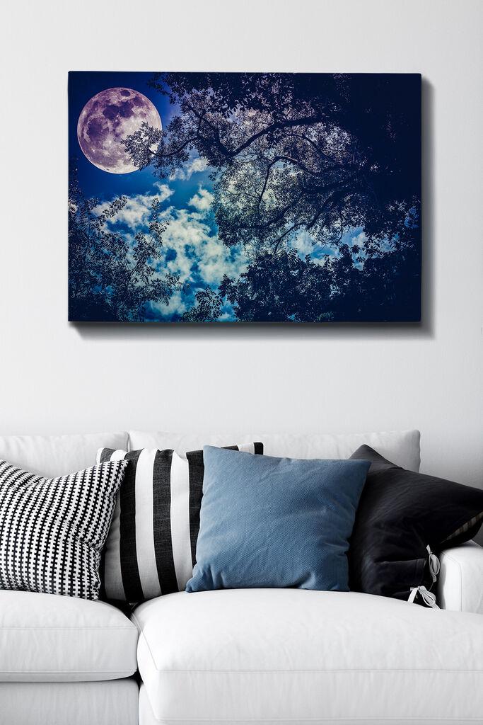 Slika na zidu na platnu 70x100cm
