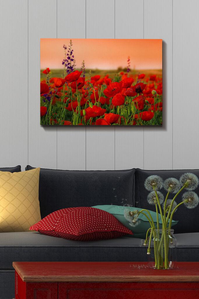 Slika na platnu Wallity 50x70cm