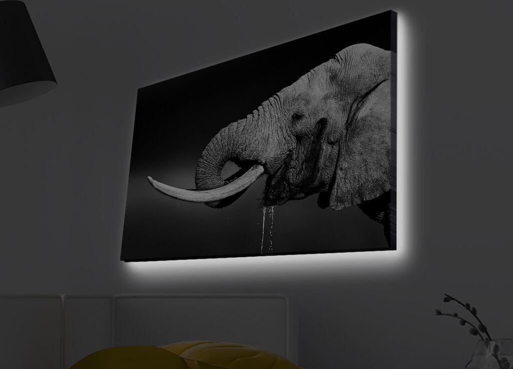 Slika na platnu Wallity sa LED osvetljenjem 45x70cm