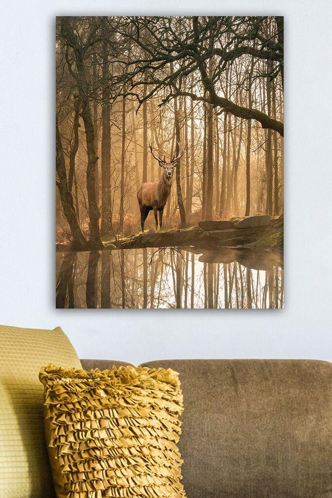 Slika na zidu na platnu 50x70cm