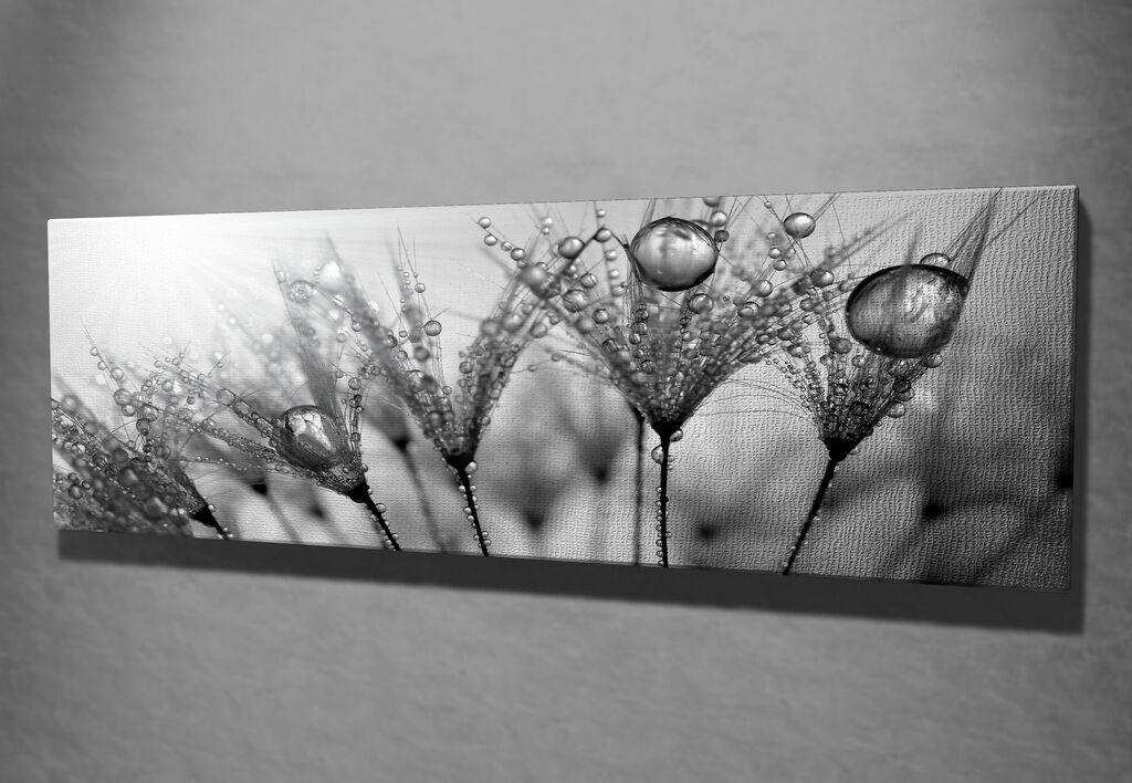 Slika na platnu Wally 30x80cm