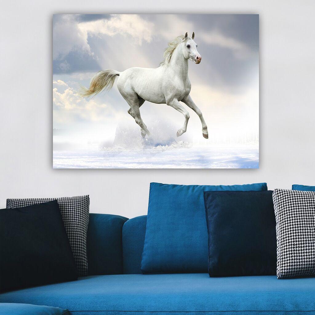 Slika na zidu na platnu 70x100cm