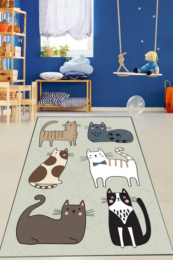 Conceptum Hypnose tepih, 80x120cm, šaren