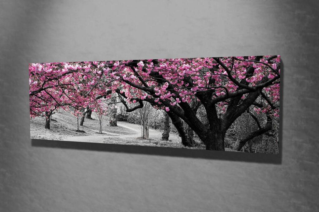 Wallity Dekorativna slika na platnu, 30x80cm, Šareno