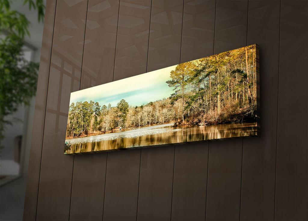 Zidna slika sa LED osvetljenjem 3090IACT-63, 30x90 cm