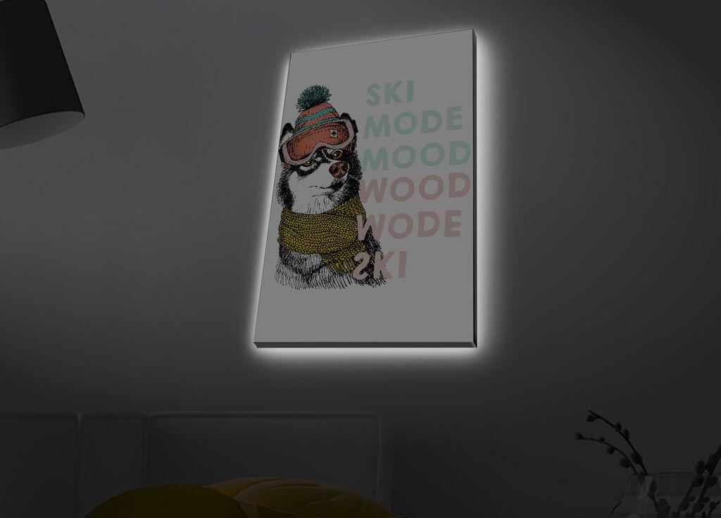 Zidna slika sa LED osvetljenjem 4570MDACT-068, 45x70 cm