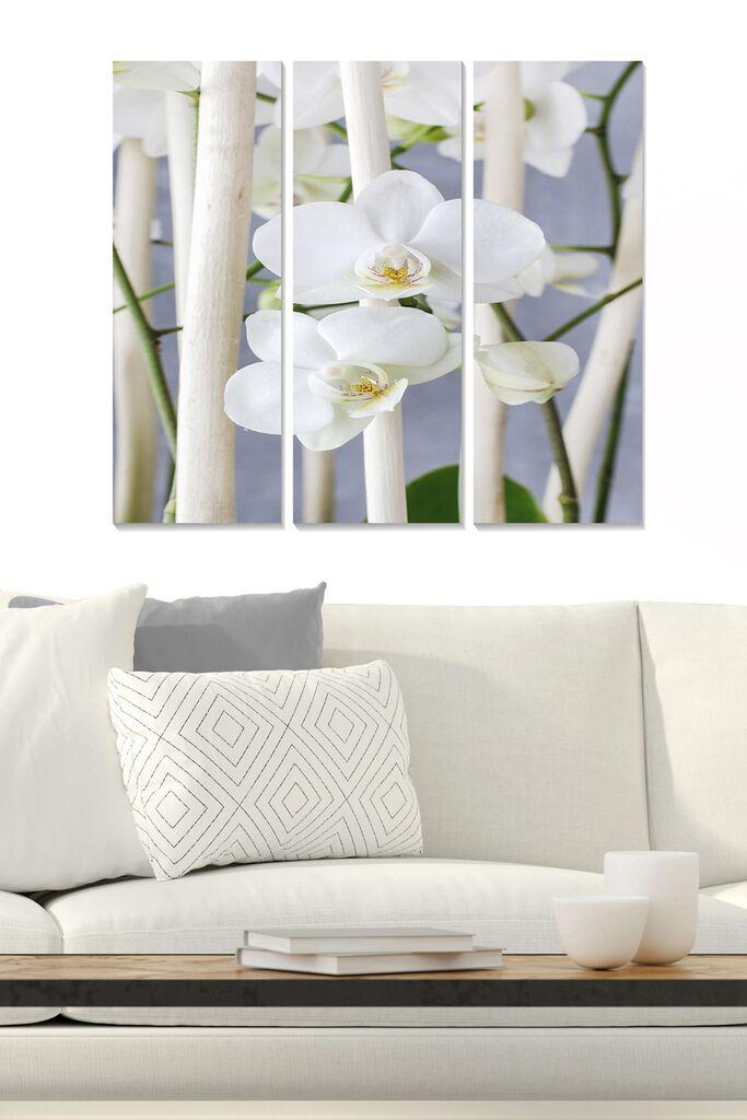 Set slika Wallity MDF288791672, 3 dijela