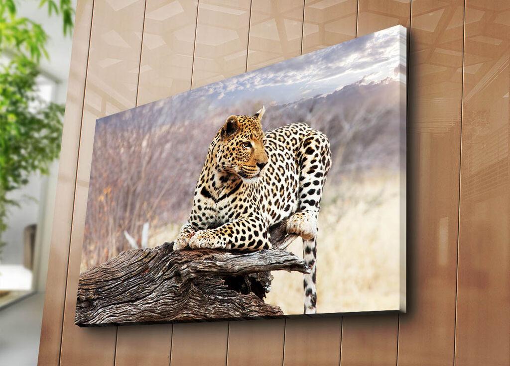 Wallity Dekorativna slika na platnu, 70x100cm, Šareno