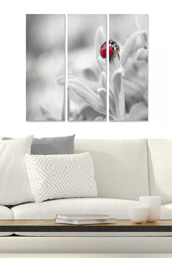 Set slika Wallity MDF796483, 3 dijela