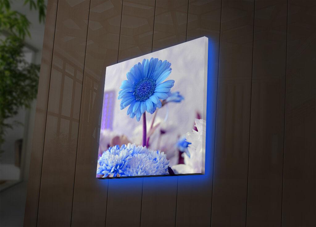 Zidna slika sa LED osvetljenjem 4040DACT-32, 40x40 cm